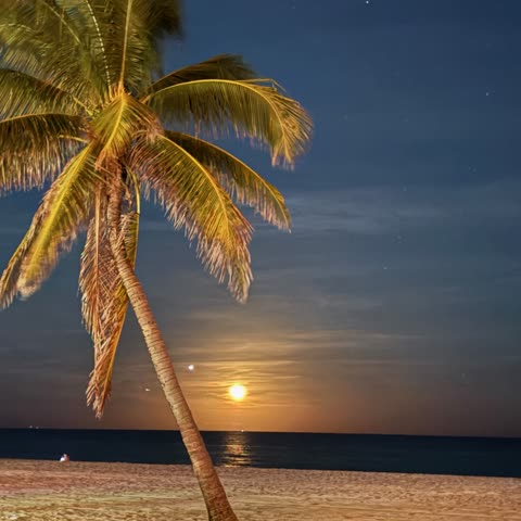 Rising Moon